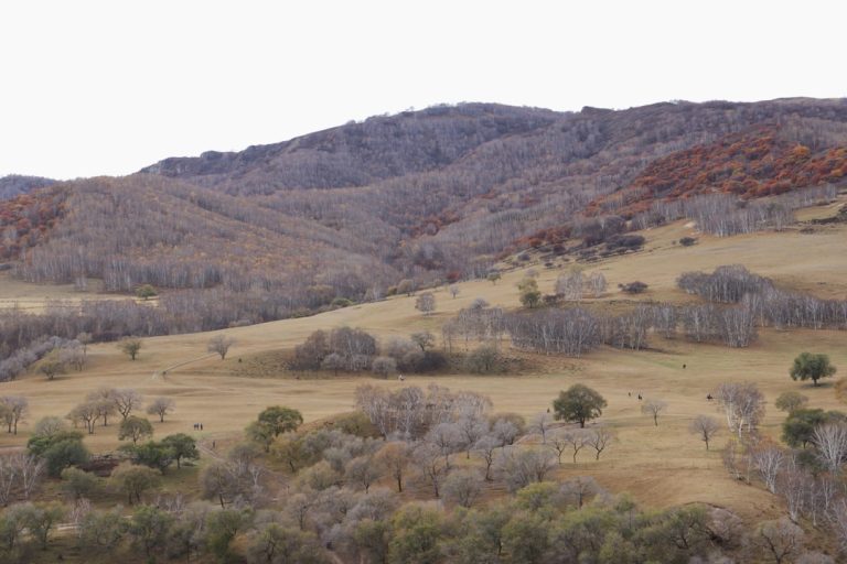 Embracing the Great Outdoors: How Traveling to Nature Can Enrich Your Life